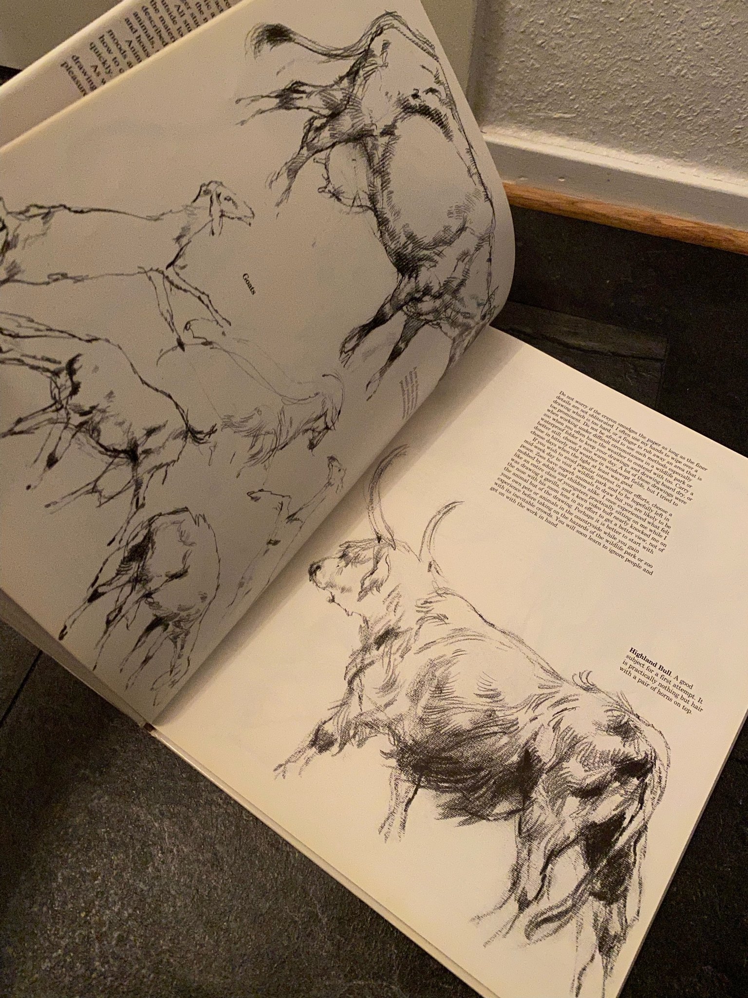 Drawing Animals Victor Ambrus konstnärer akvare.. Köp på Tradera