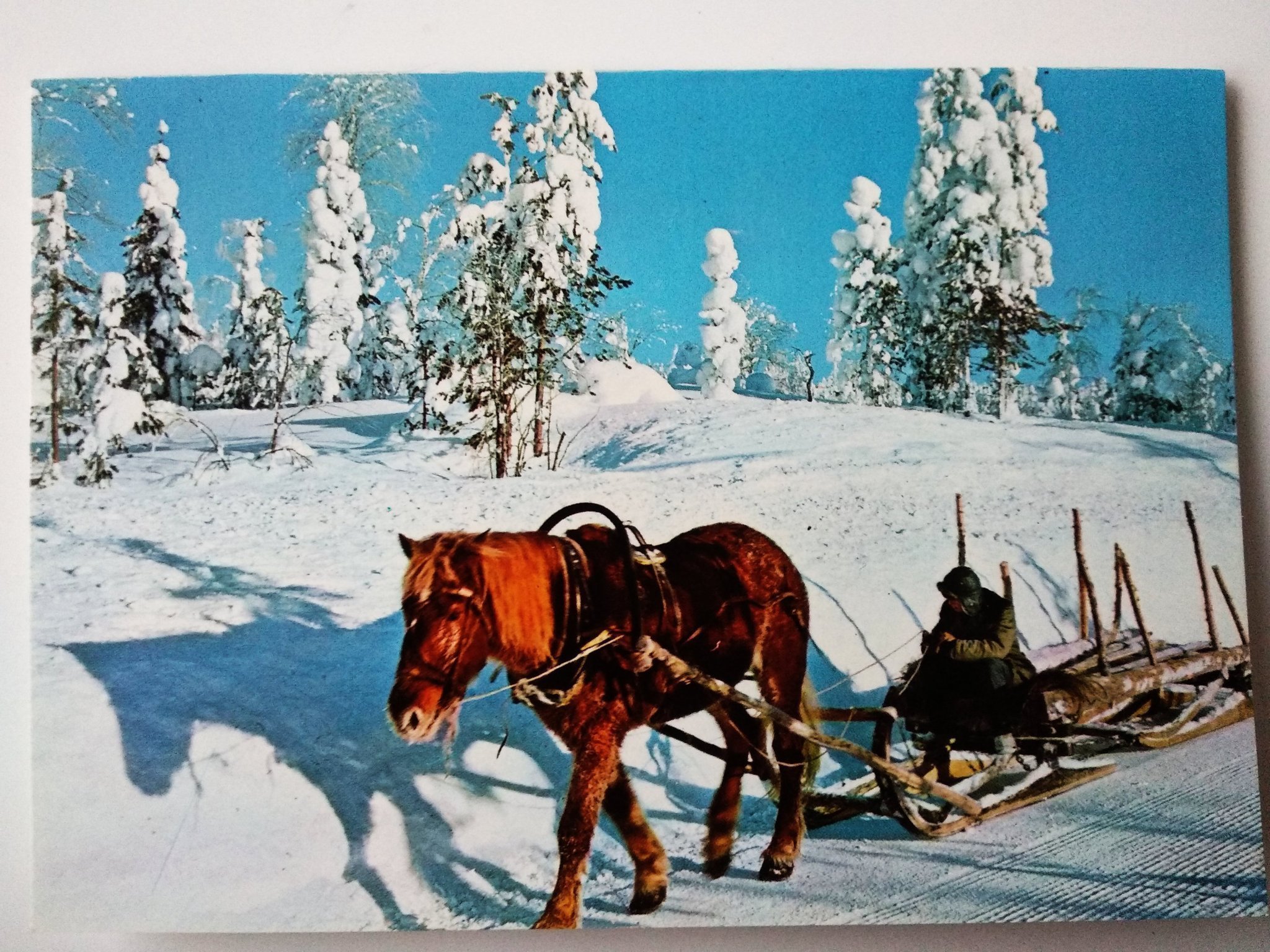 Se produkter som liknar Gammalt julkort med häst och .. på Tradera