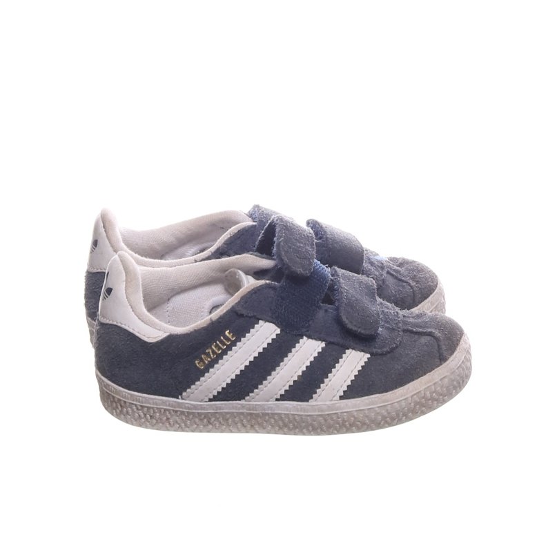 gazelle 23