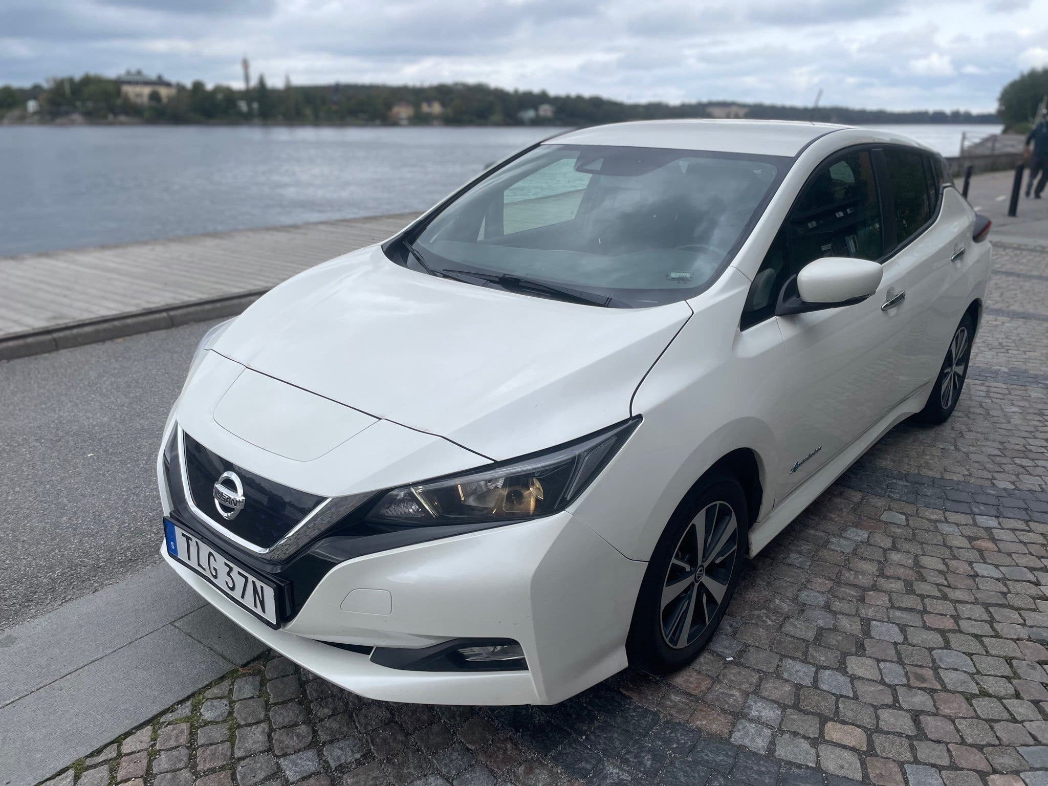 Nissan Leaf, 150ps, 2019
