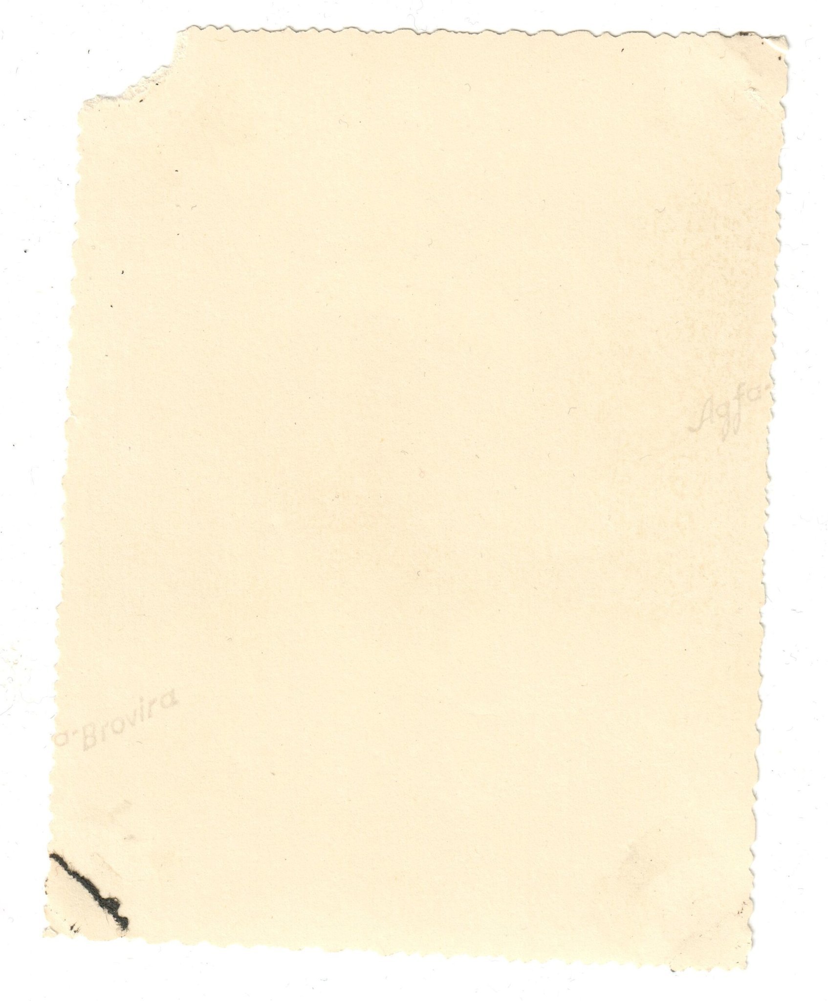 Originalfoto, Rudolf Ismayr. Olymiaden 1936 Ber.. Köp på Tradera