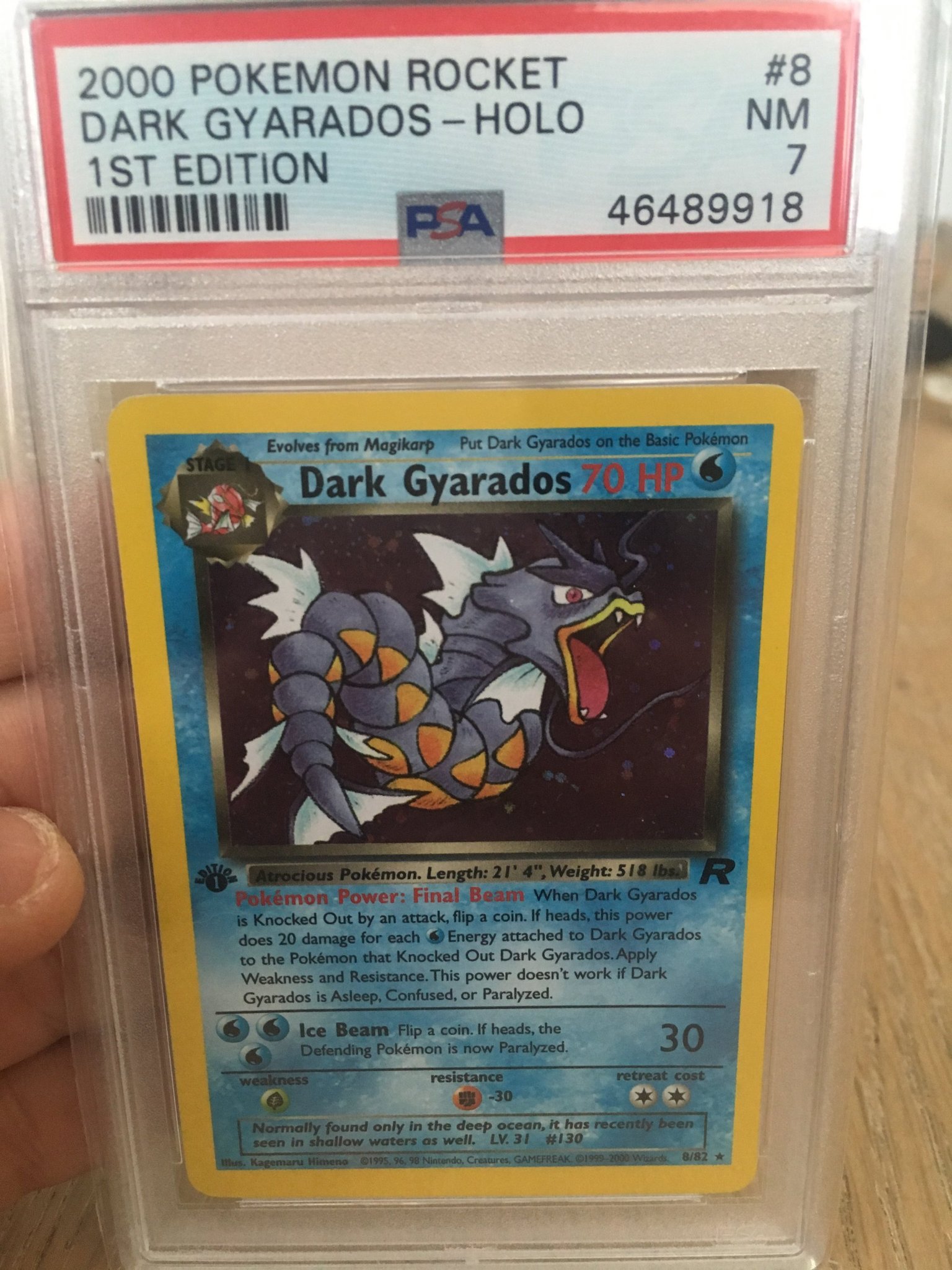 1st Edition Dark Gyarados Holo Psa 7 nm (416015331) ᐈ Köp på Tradera