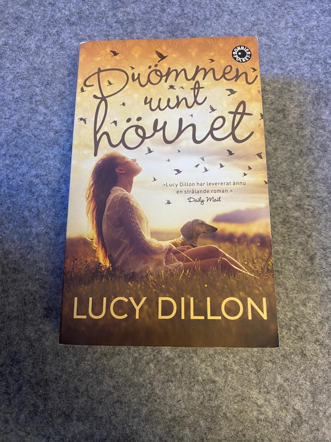 Lucy Dillon - Drömmen runt hörnet | Köp från LindesFynd på Tradera ...
