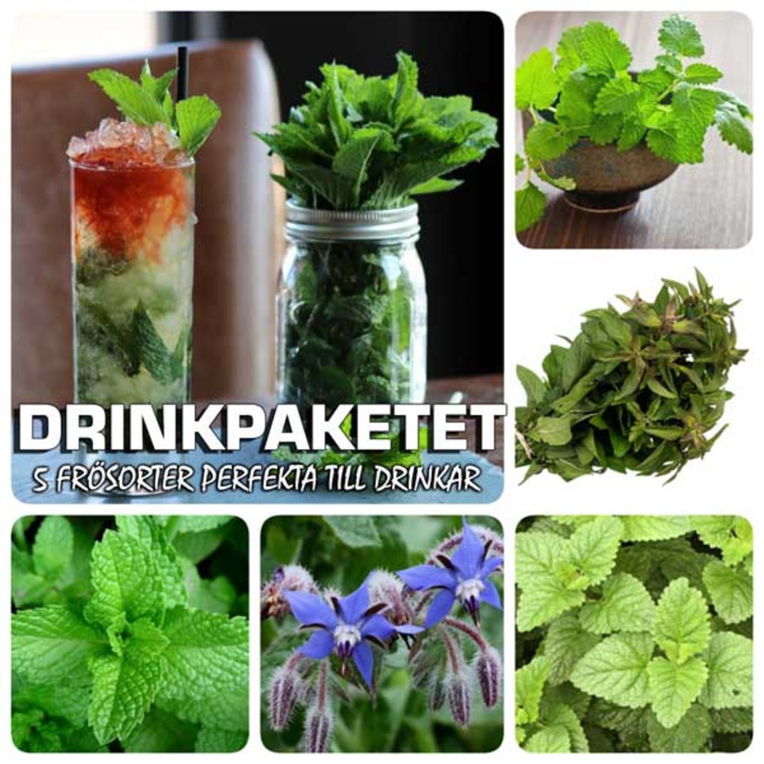 Fröpaket - Drinkpaketet Fröpaket Fröpaket Fröpaket - Drinkpaketet e8d0a0