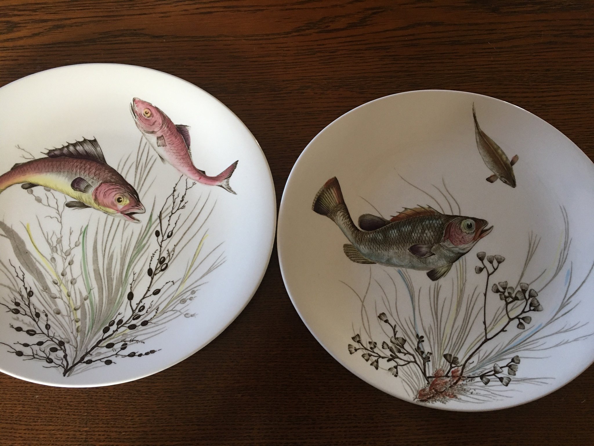 Johnson bros , Fish, tallrik, 2 st, 2 och 3.. (414362882) ᐈ Köp på