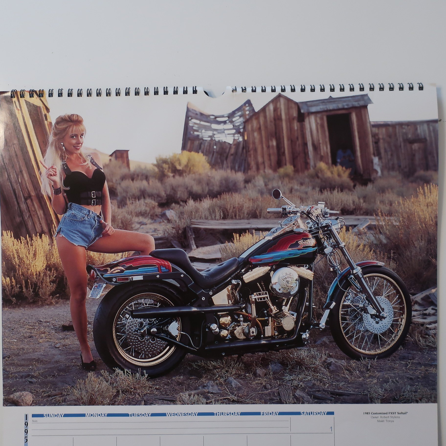 HD, HarleyDavidson, Official 1995, Dreamgirls,.. Köp på Tradera