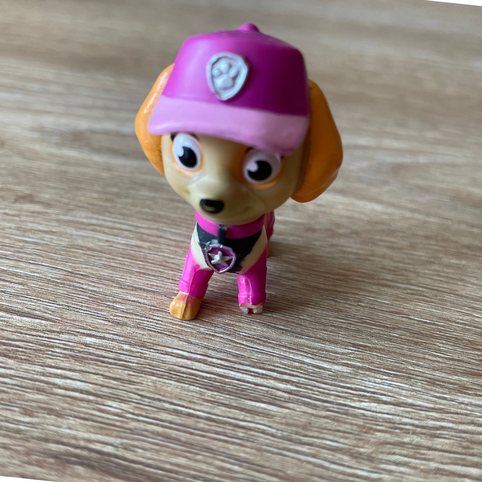 Paw patrol rocky zuma skye marshall rubble chas.. | Köp på Tradera