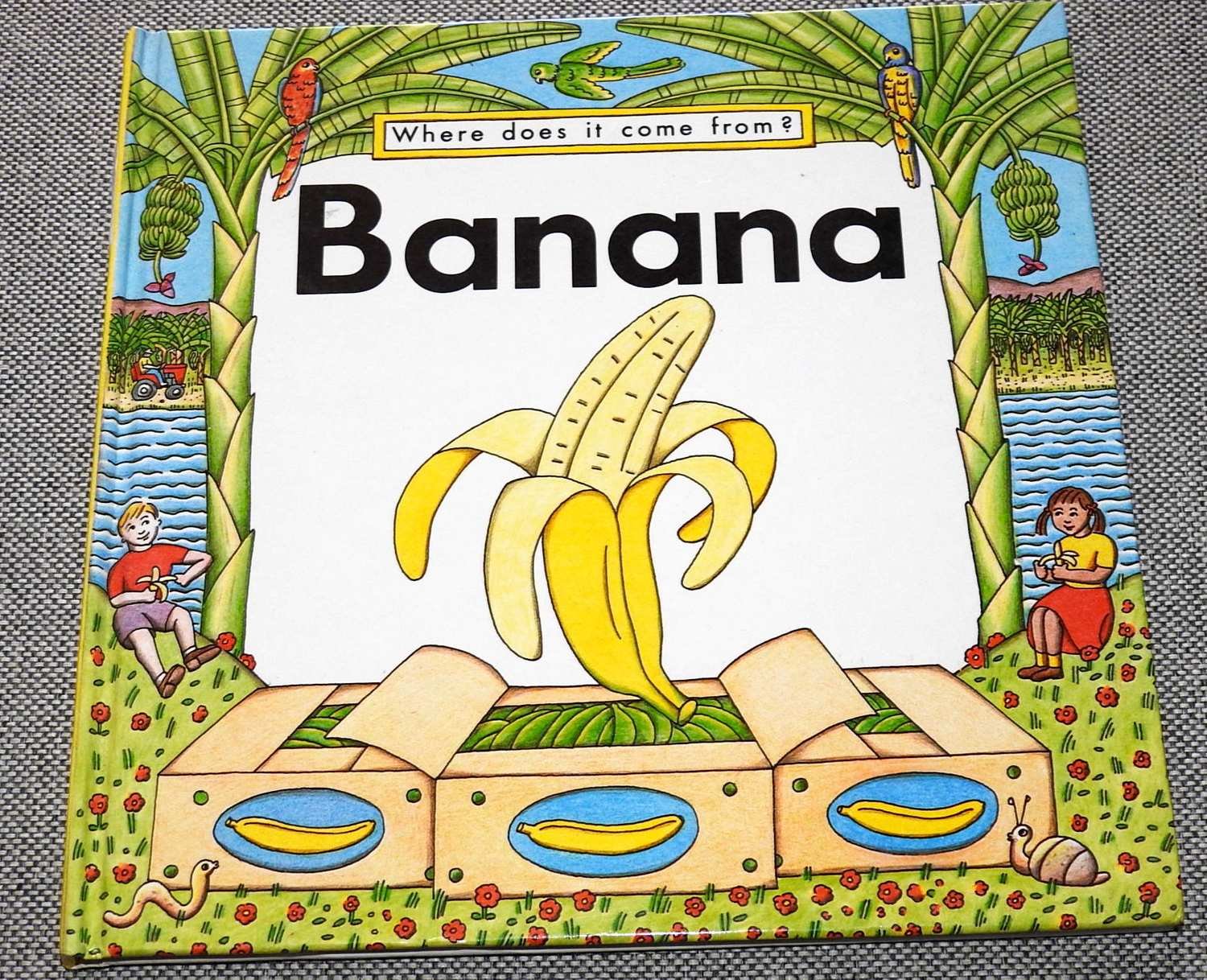 Banana Where does it come from? English Child.. (411243062) ᐈ Köp på