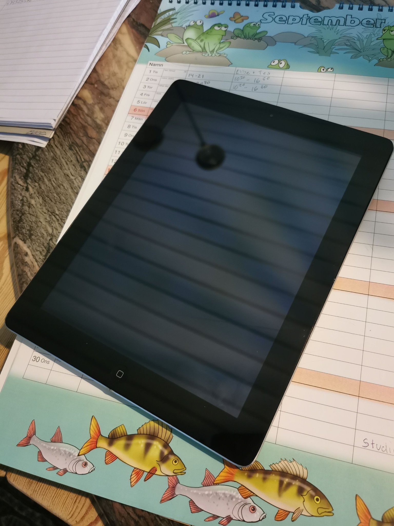 Ipad 4, A1460, läs beskrivning! (418272729) ᐈ Köp på Tradera