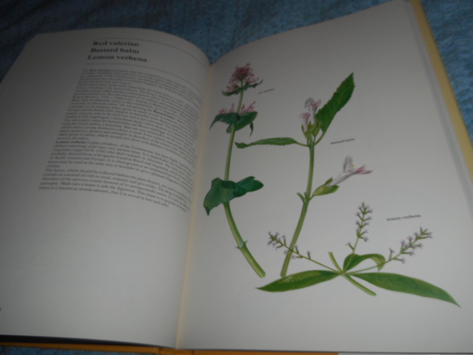 The Complete Book Of Health Plants - Atlas of Medical Medical Medical Plants ee8497 The Complete Book Of Health Plants - Atlas of Medical Medical Medical Plants ee8497