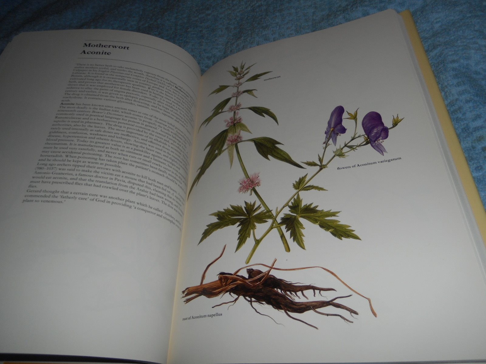 The Complete Book Of Health Plants - Atlas of Medical Medical Medical Plants ee8497 The Complete Book Of Health Plants - Atlas of Medical Medical Medical Plants ee8497