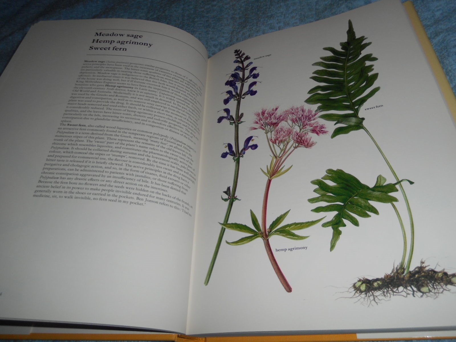 The Complete Book Of Health Plants - Atlas of Medical Medical Medical Plants ee8497 The Complete Book Of Health Plants - Atlas of Medical Medical Medical Plants ee8497
