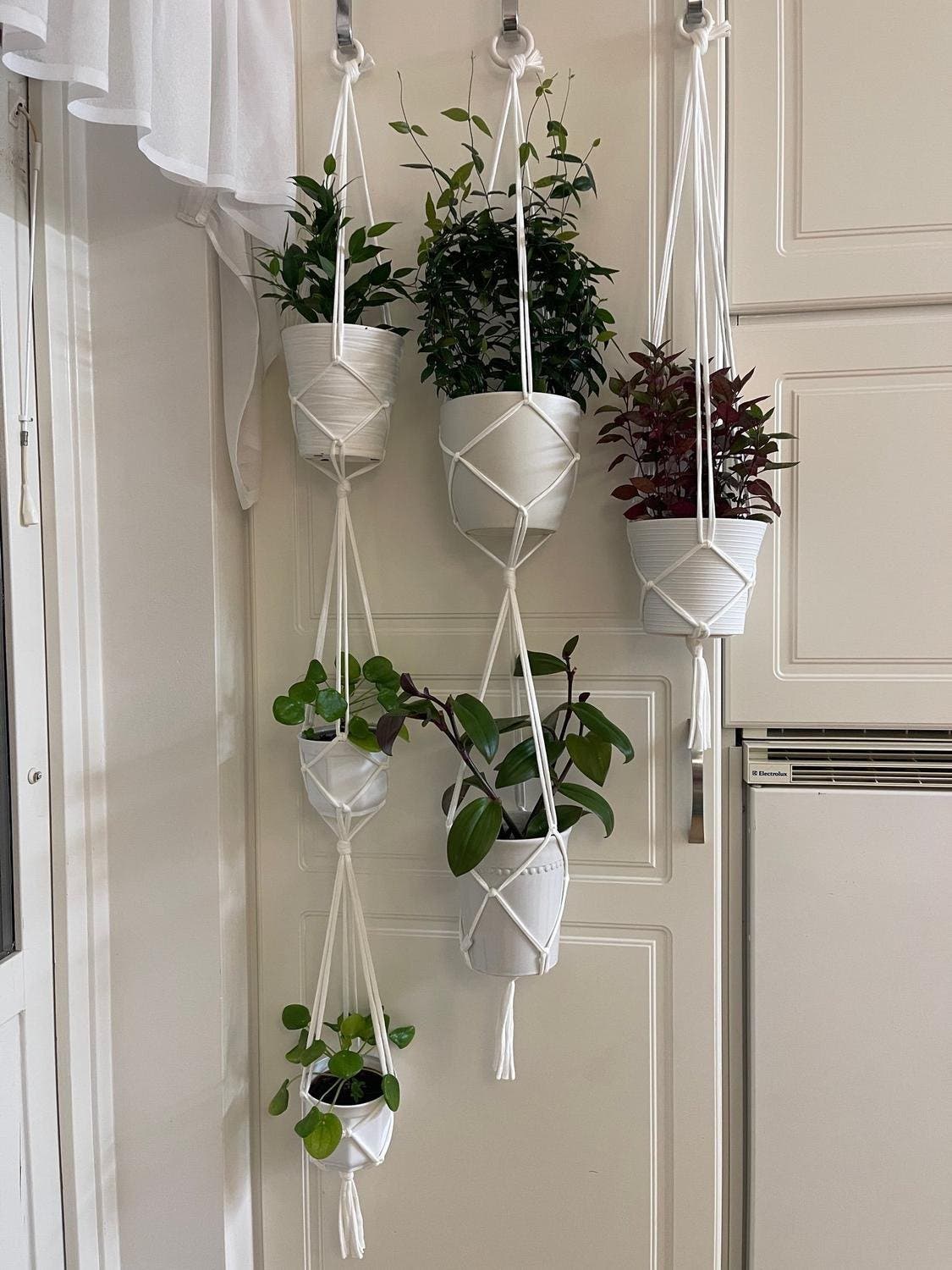 Vita Amplar för blomkrukor, Hangers för plants | Köp på Tradera (582187244)