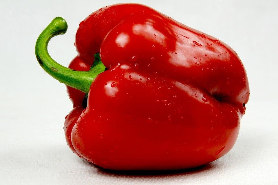 Paprika Rund Röd 15 Frön | Köp på Tradera (259692238)
