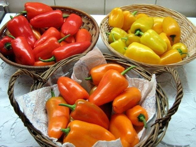 Mini snack paprika in assorted colors