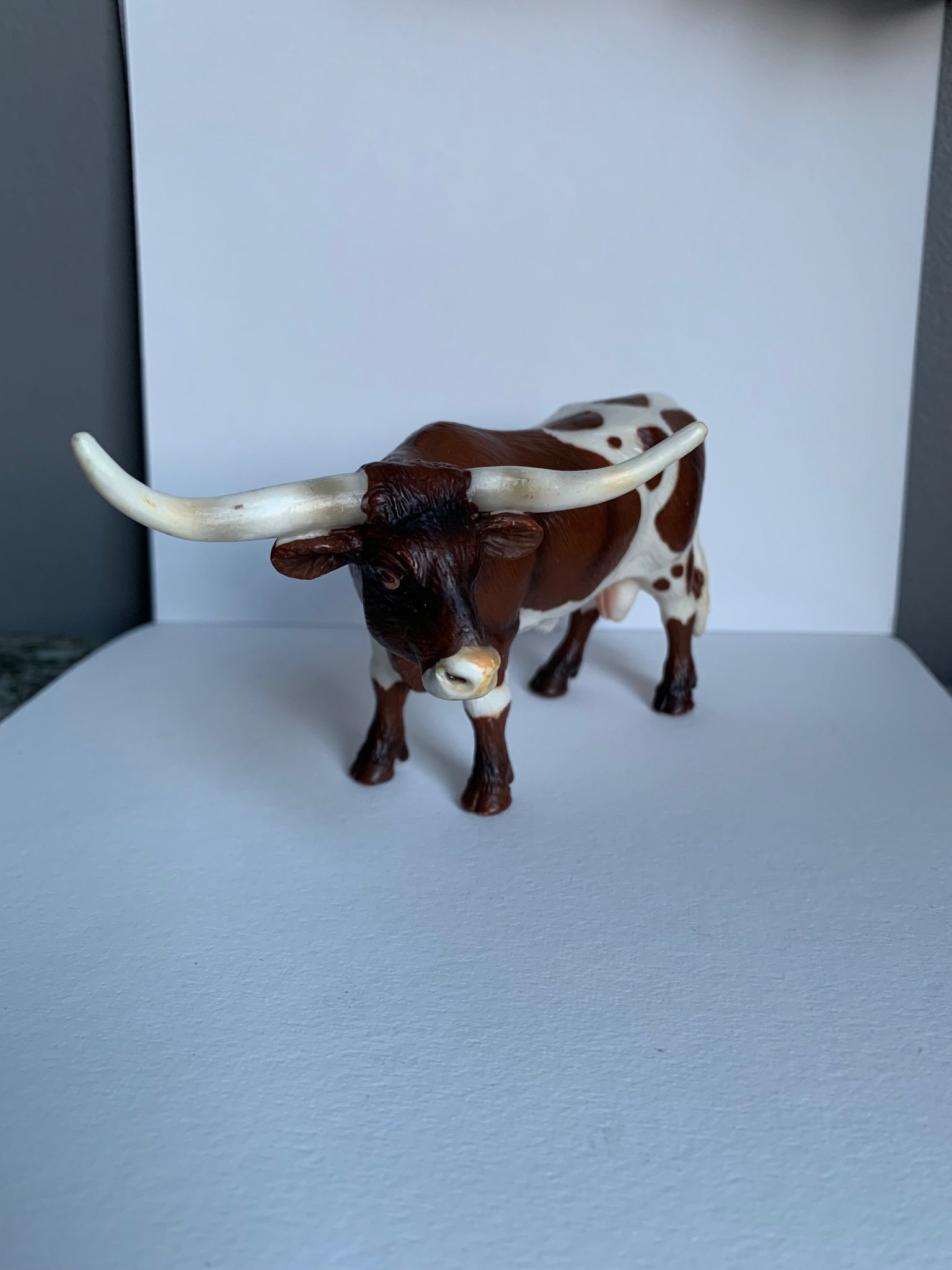 Longhorn Lesters Address 42 - isxnve7