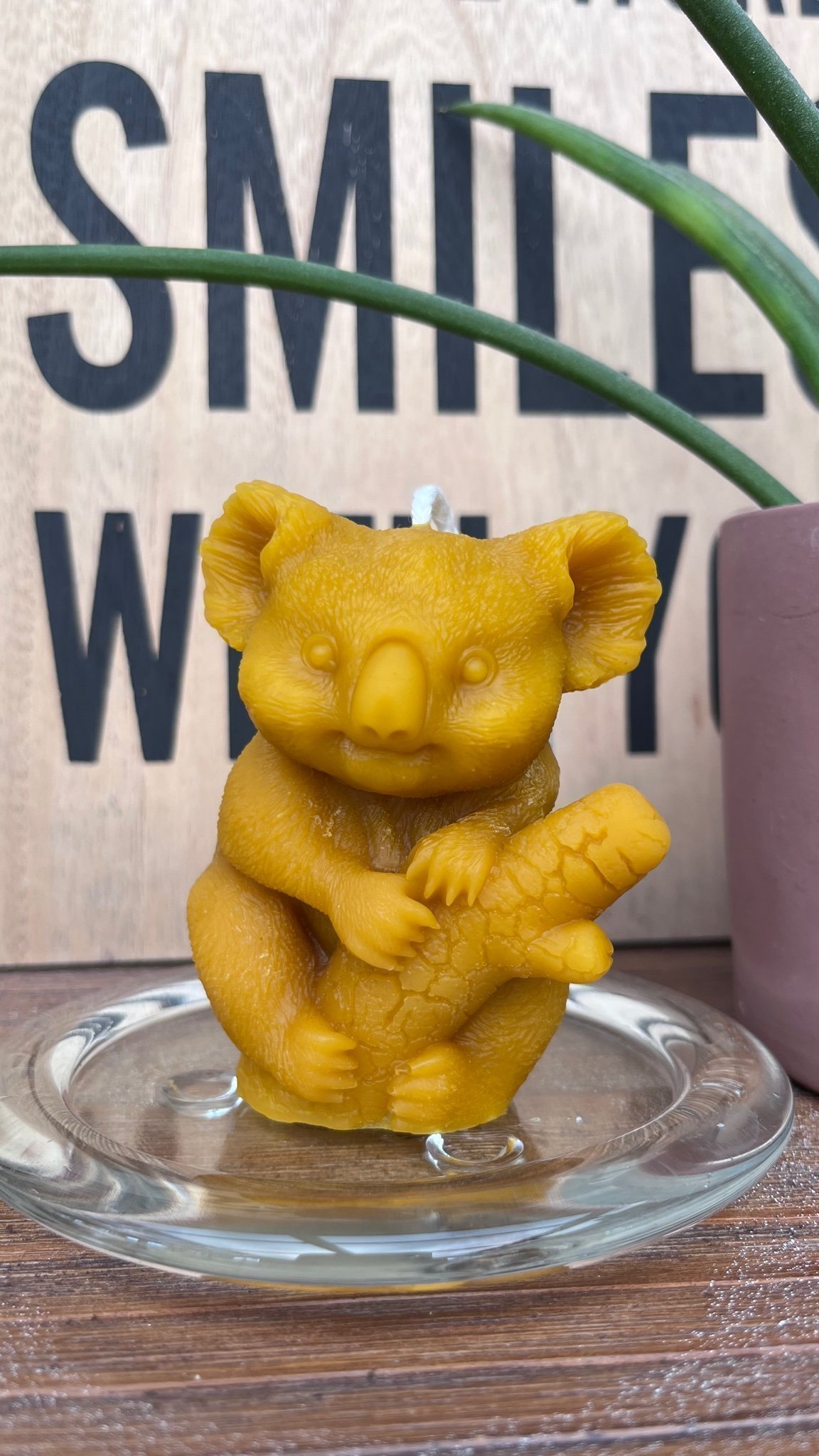 Söt Koala bivaxljus