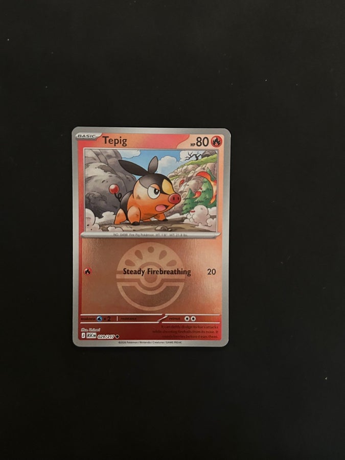tepig pokemon card holographic Tepig 13/25