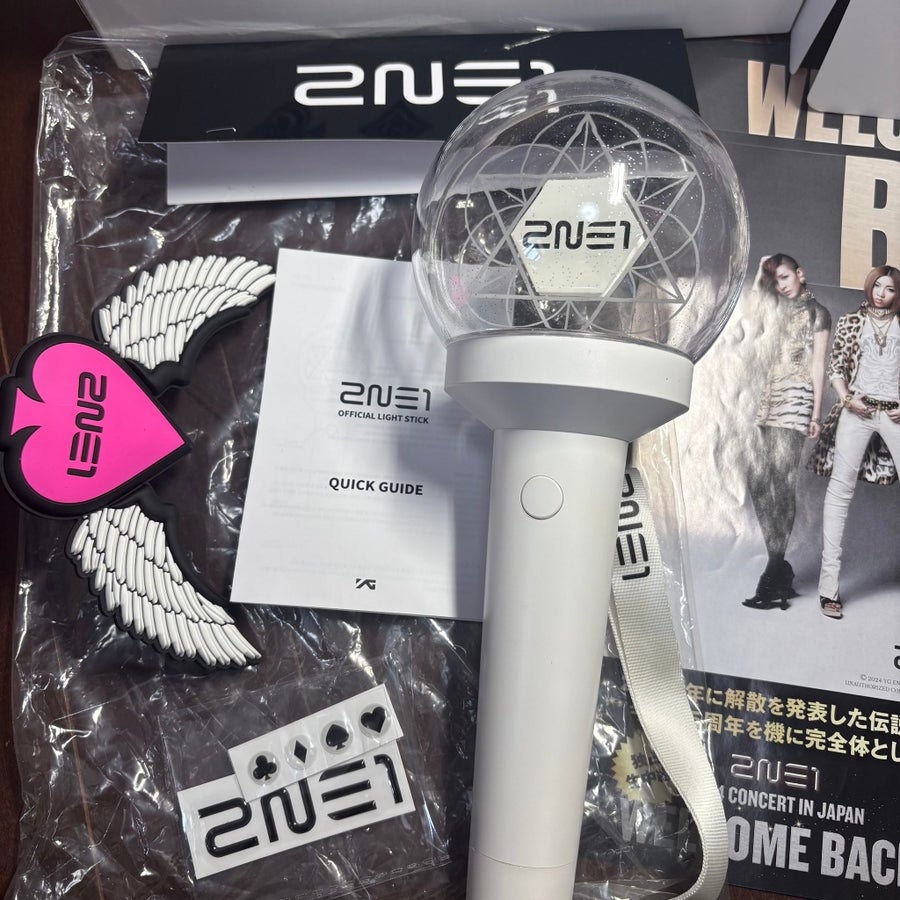 2NE1 ペンライト 初代 1st JAPAN TOUR 2NE1 Official Wing Light Stick