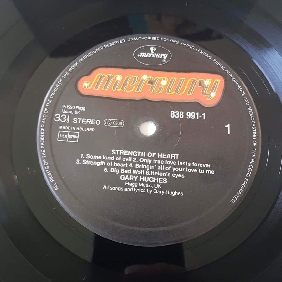 Gary Hughes - Strength Of Heary - Lp Eur 90 Org.. | Köp på