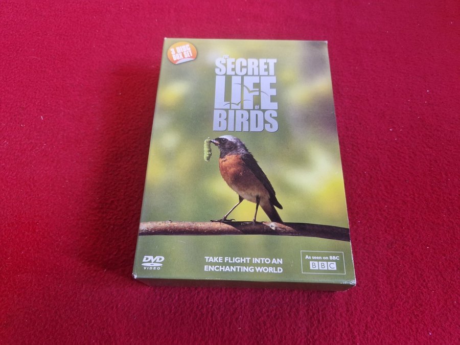 ライフ・オブ・バーズ/鳥の世界 DVD-BOX〈10枚組〉　鳥の生態 Amazon.co.jp: BBC The Life of Birds -鳥の世界- DVD-BOX (10