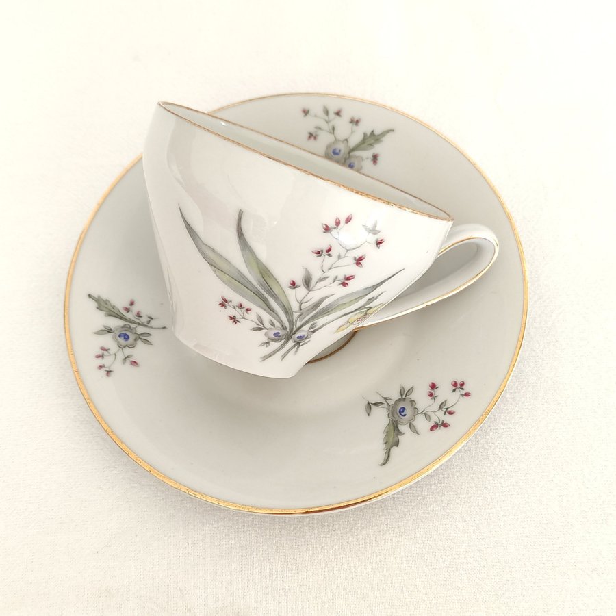 書 Kelsterbacher Porzellan Antique Beauty - Zeh Scherzer & Co. Porcelain Dining Service