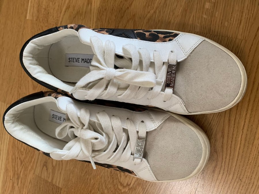 Steve Madden Women s Philip r Sneaker strlk 38