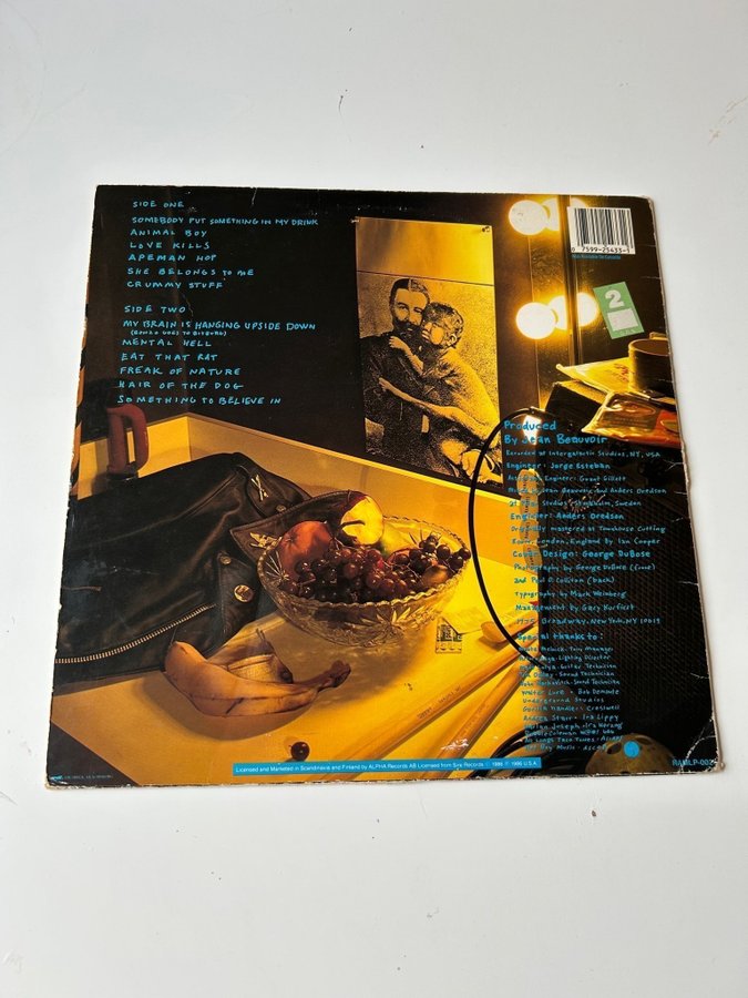 Se produkter som liknar Ramones - Animal Boy - Vinyl LP på