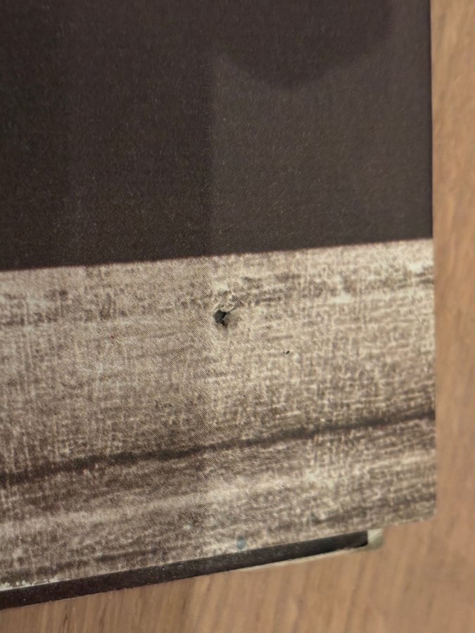 Bush - Bush LP (1970) Dunhill - DS-50086. VG+/VG