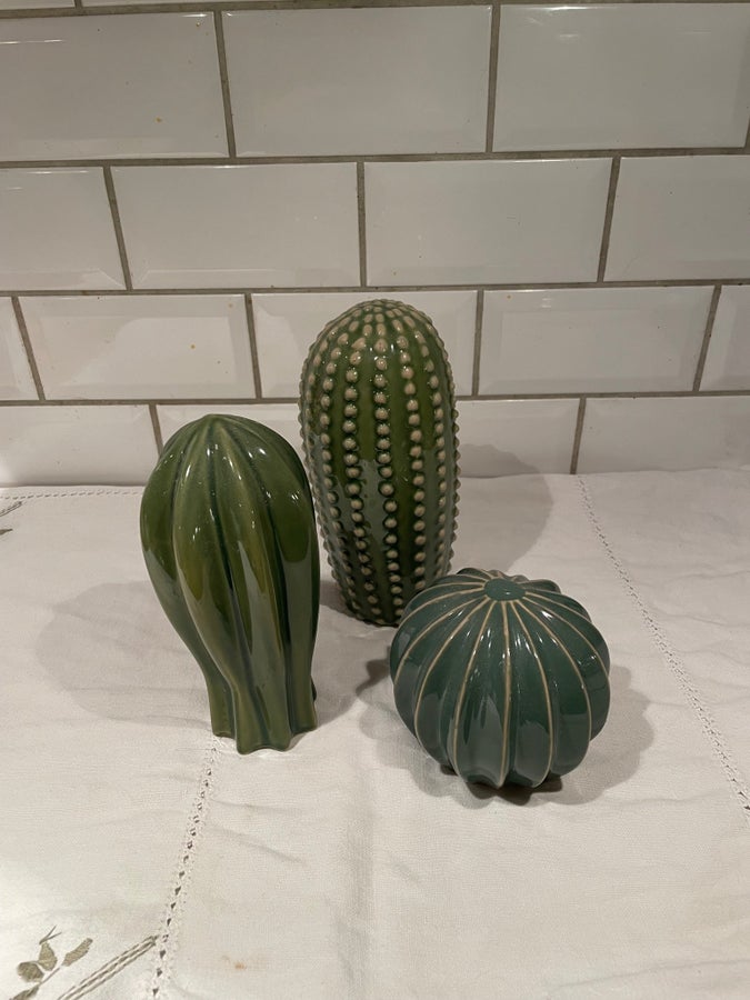 is dragon fruit a cactus White-Flesh Dragon Fruit Cactus