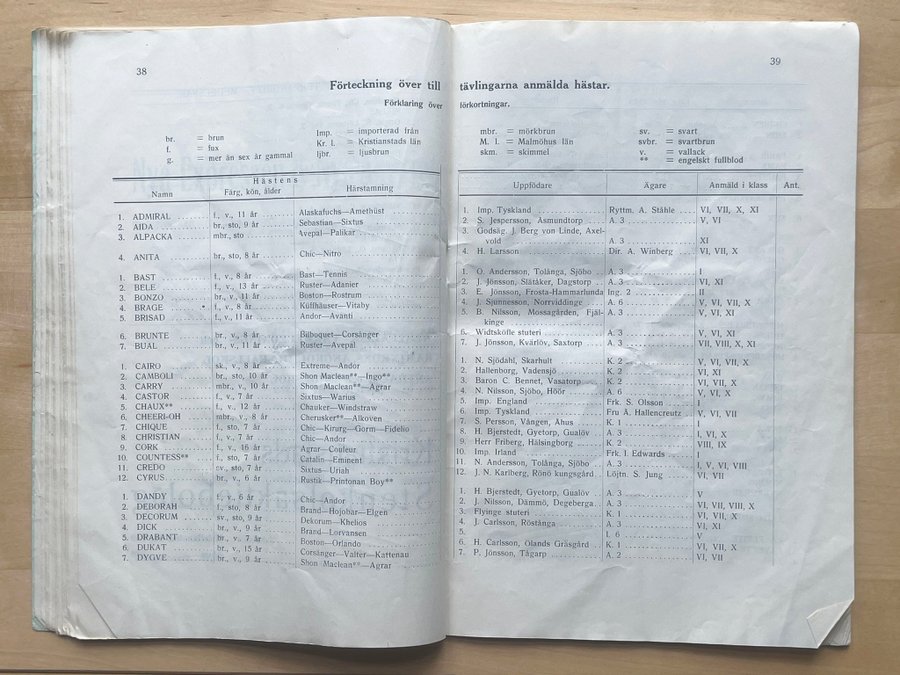 Bachl Arlista 2019 () Bachl Arlista 2019