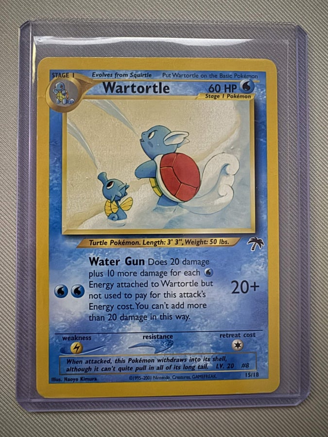 Wartortle Southern s 英語版 15/18 Wartortle 2001 Southern Islands