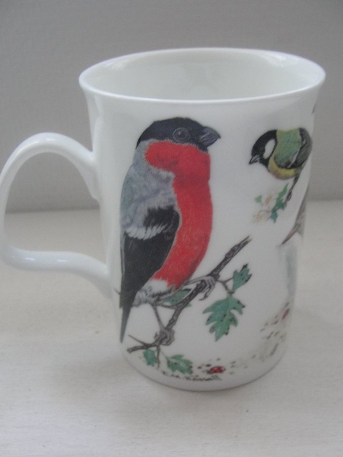 Roy Kirkham Garden Birds mugg – Fine Bone China.. | Köp på Tradera