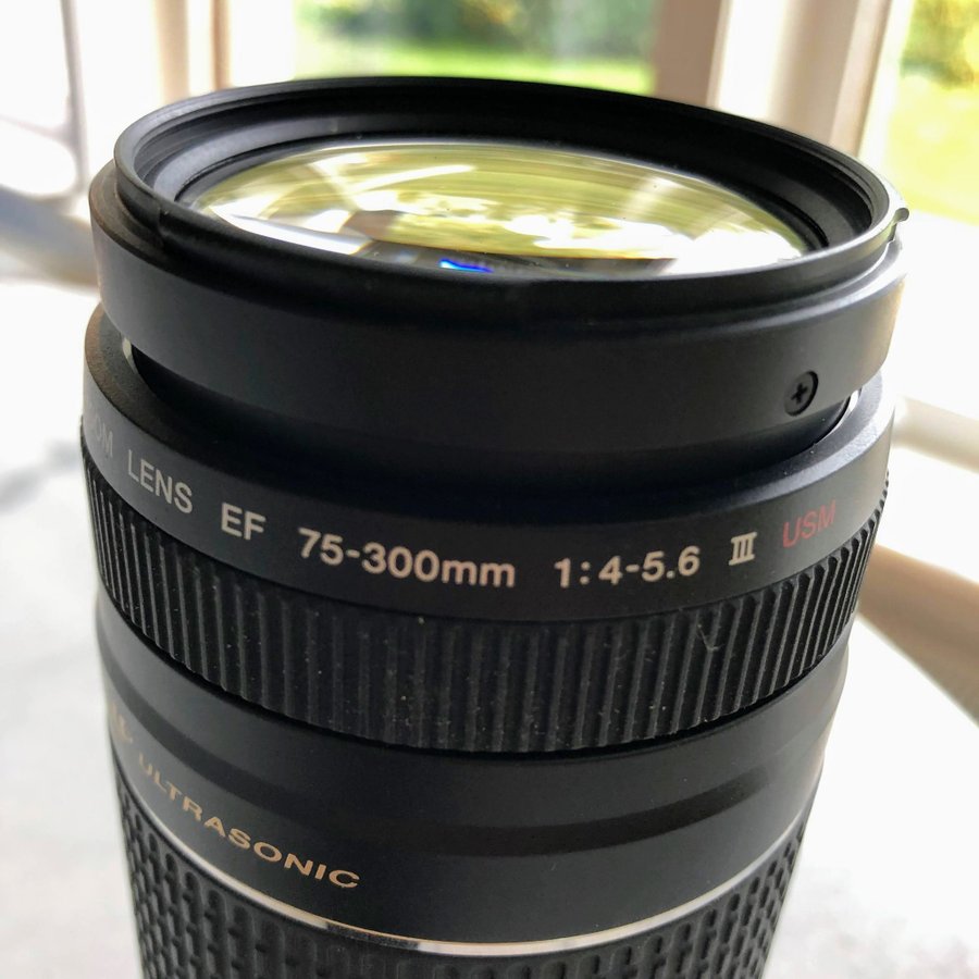 Canon Ef 75 300mm F 4 5 6 Iii Usm Zoom Lens Tel Kop Pa Tradera