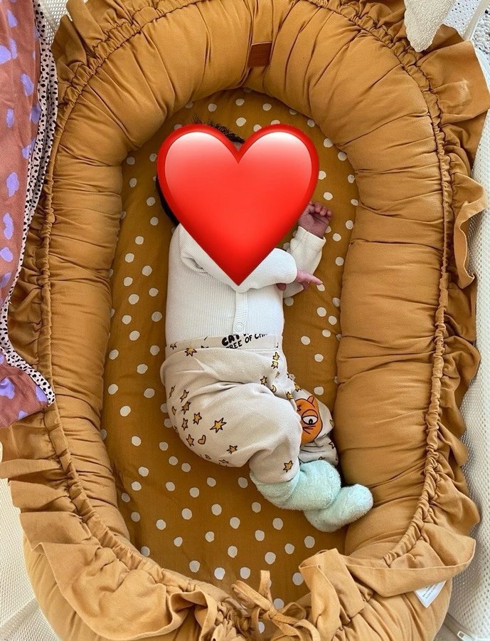 Babynest Buddy and Hope