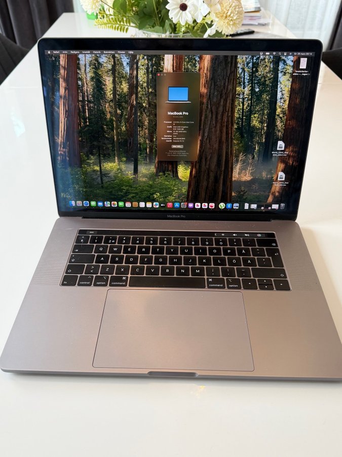 MacBook Pro 15-tums 2018, 2.9 GHz 6-Core Intel .. | Köp på Tradera