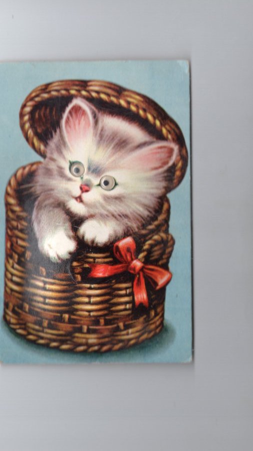 Katt med rörliga ögon Pip kort