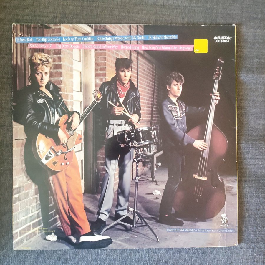 Rant N' Rave With The Stray Cats - Vinyl LP | Köp på Tradera