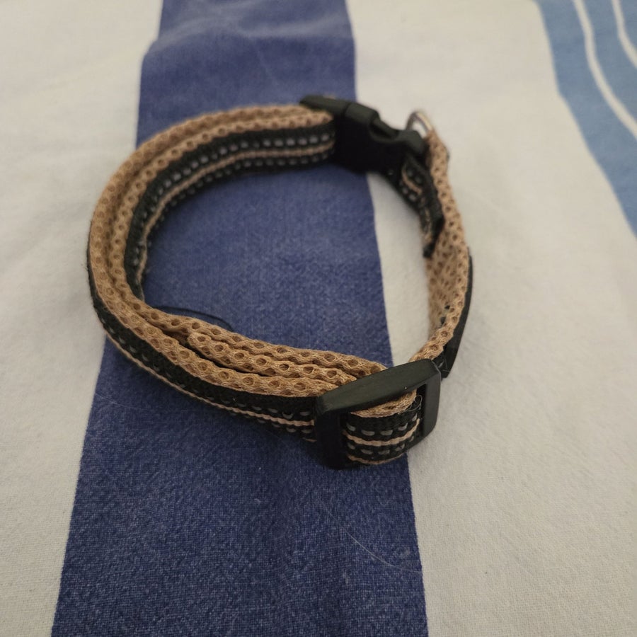 Halsband till hund | Kp p Tradera (733984418)
