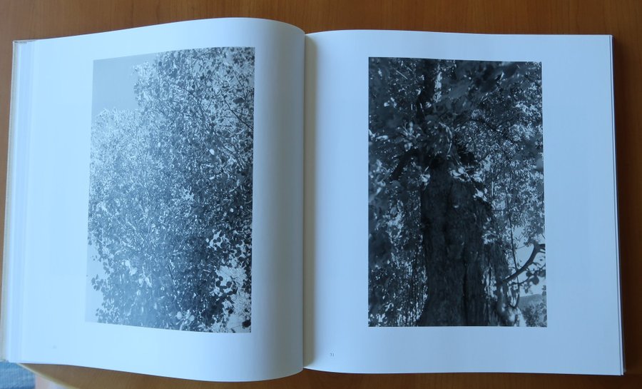 アート・デザイン・音楽 Tree Line by Robert Adams The Hasselblad Robert Adams: Tree Line: The Hasselblad Award 2009