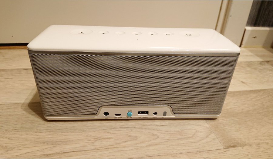 Riva Audio Riva Concert Google Assistant Riva Audio Riva Concert