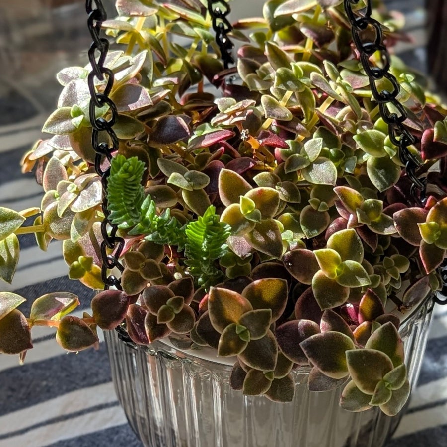 knstliche blumen fr grab CASA