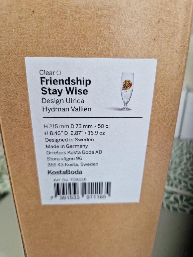 Kosta Boda Friendship Stay Wise – Bicchiere In Vetro – Design Ulrica Hydman-Vallien – 50 Cl – 21,5 Cm