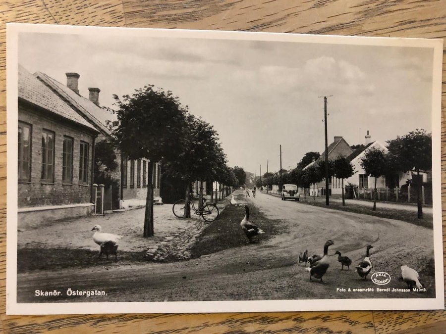bilder av damer fra skanör knulle i oslo notodden