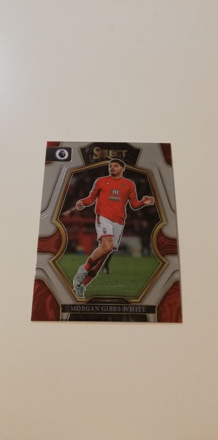 その他 panini select Morgan Se produkter som liknar 2022-23 Panini Select EPL - M.. på Tradera