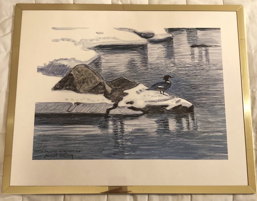 Harald Wiberg,1973 のポスター Harald Wiberg,1973 のポスター