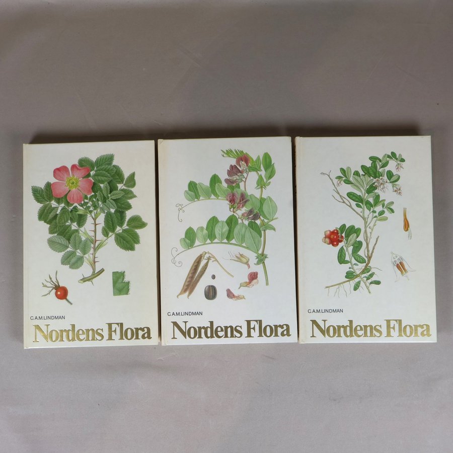 Nordens Flora 植物図鑑 C.A.M. Lindman　第1巻 Billeder af Nordens flora Volume 1 1901 by Lindman, C. A. M.
