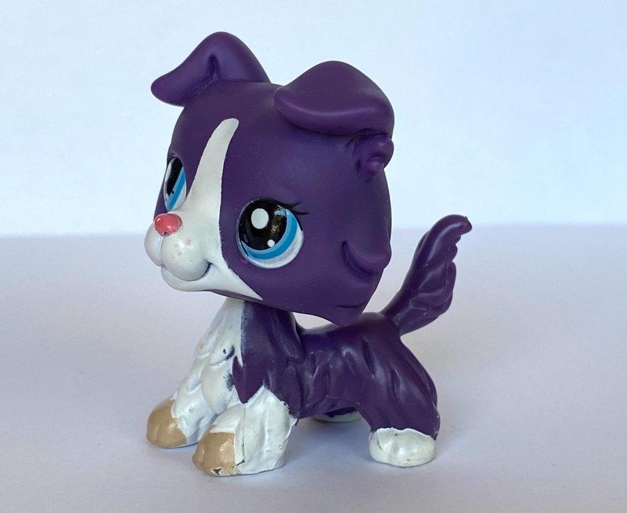 Petshop Chien colley collie #1676 - Jeux & Jouets