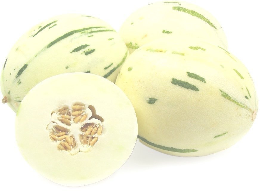 Sugar baby Matisse Melon Köp på Tradera (646176723)