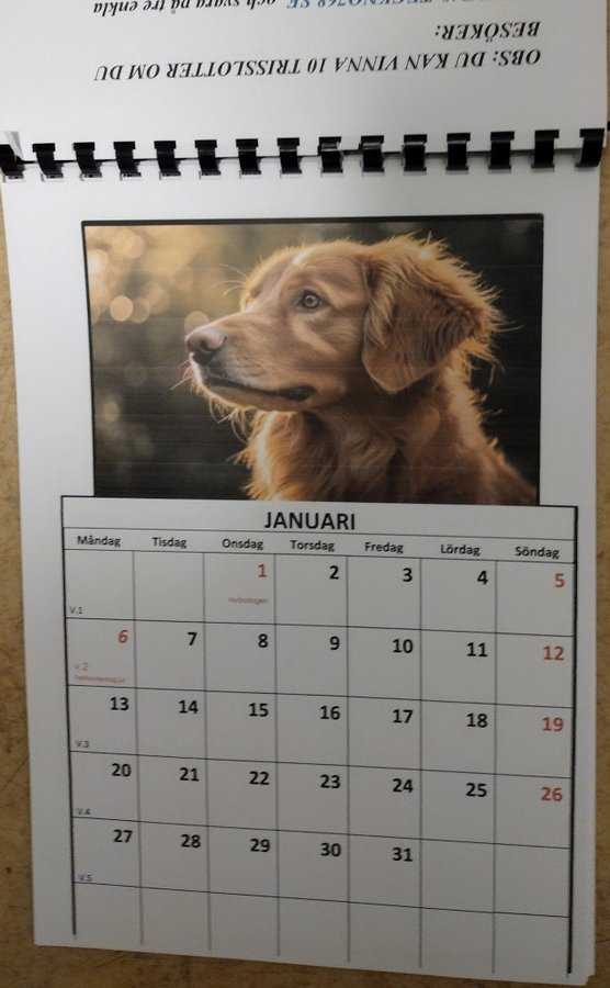 Kalender (NUMMER 1) 2025 hun.. Köp från F49TECKNO768 på Tradera